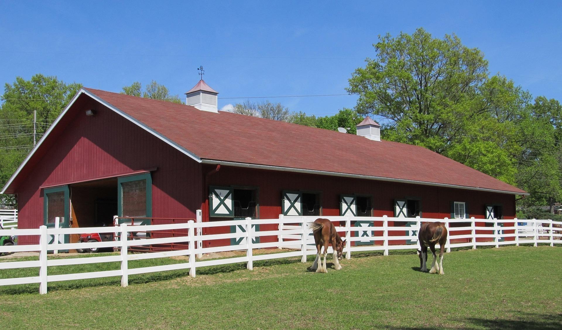 horse properties for sale